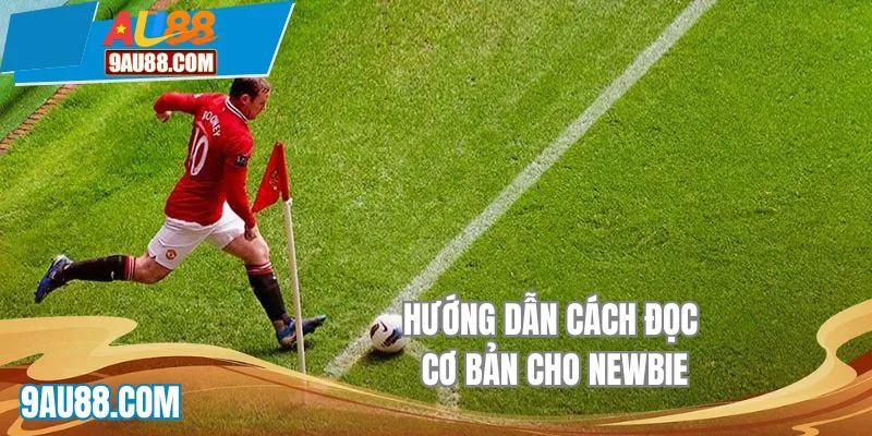 Hướng dẫn cách đọc cơ bản cho Newbie