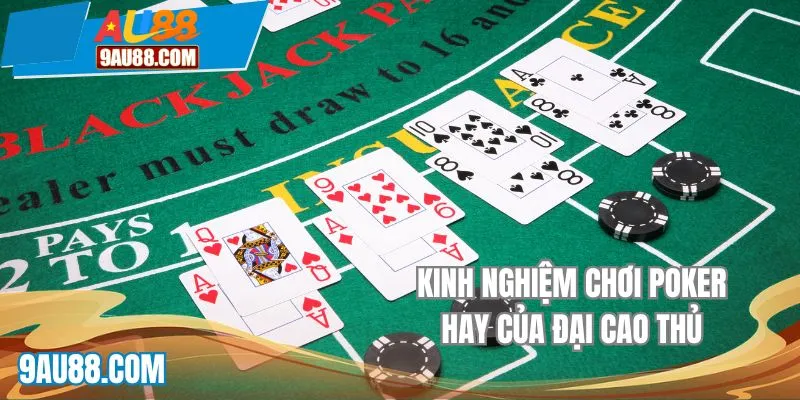 Kinh nghiệm chơi poker hay của đại cao thủ